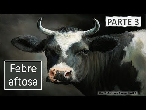 Vídeo: Padrões Espaciais E Sazonais Dos Surtos Primários De Febre Aftosa Em Bovinos No Zimbábue Entre 1931 E