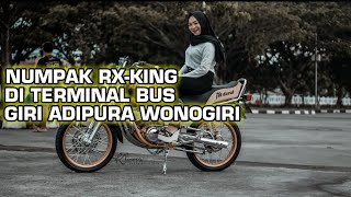 Numpak Rx-King Cover Vivi Voletha