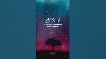 سورة البقرة - الآية ١٨٦ | القارئ: مشاري العفاسي #القرآن #قرآن #quran_alkarim #alquran