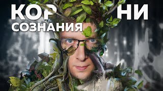 Проблема Сознания Растений: Последние Открытия | Безумные Научные Идеи #3