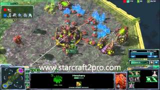 HD Official Starcraft 2 Zerg Strategy - Beginners guide to [Z] - Baneling Zergling Pro tutorial SC2