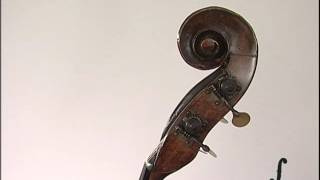 Contrabbasso Testore 1740 - Stefano Pratissoli