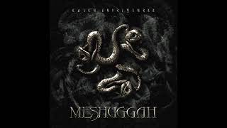 Meshuggah   Catch Thirtythree full album