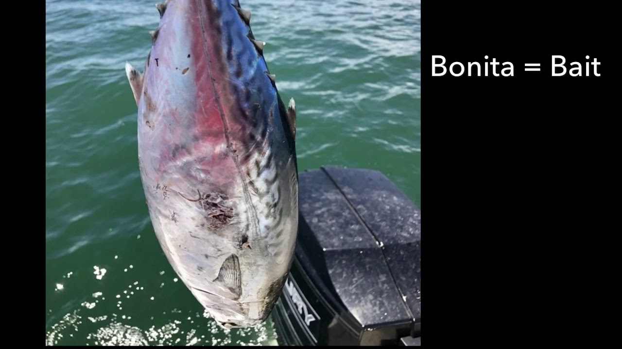 Fishing Galveston Texas - YouTube