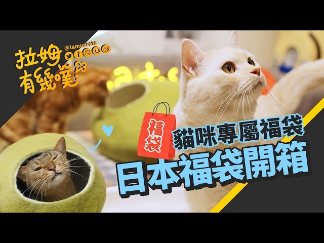 ►拉姆有幾噗◄ 超值福袋！日本貓咪福袋開箱┃Cats lucky bag 2019 ☁