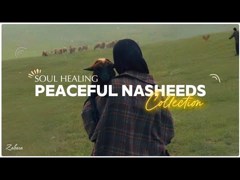 Peaceful Nasheed Collection 🎶🌷 || New Latest Nasheeds Are Live Now (New Drop)!! thumbnail