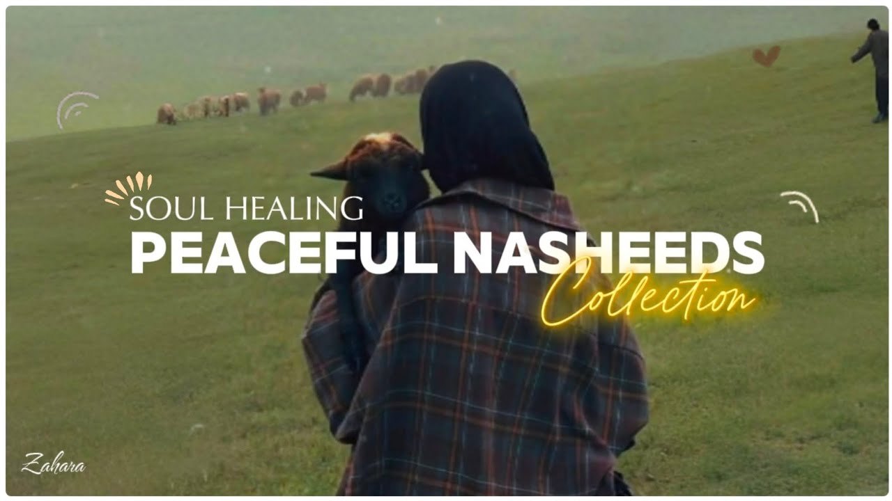Peaceful Nasheed Collection 🎶🌷 || New Latest Nasheeds Are Live Now (New Drop)!!