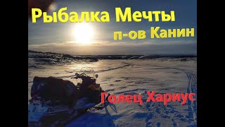 Голец / Хариус / Канин нос / Рыбалка мечты