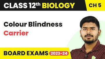 Colour Blindness Carrier | Class 12 Biology Chapter 5 NCERT/NEET 2022-23