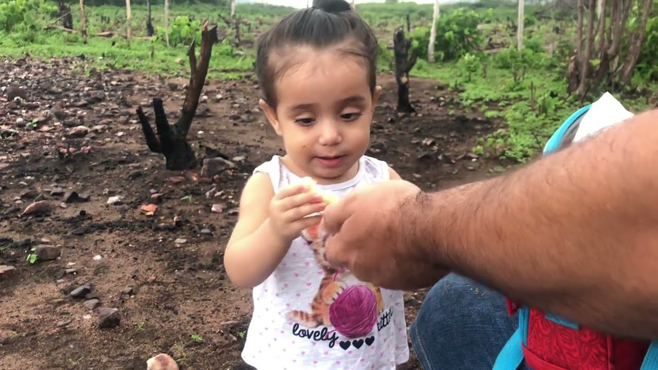 Piquenique com nossa bebê 🧺
