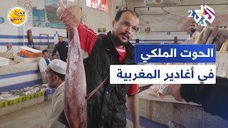 نكهة بلدي l سمك دون شوك.. تعرفوا على الحوت الملكي في أغادير المغربية