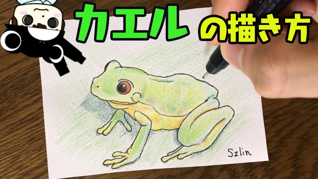カエルイラスト かんたん カエルの描き方 Youtube