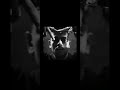 برزيلي وأسمر برقصه صمبه OAAأغنيت البرازيل ونيمار  mp3
