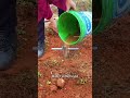The "Water Trick" for Digging Fence Posts in Hard Soil!