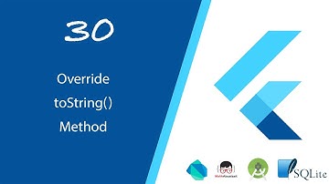 30.Override toString() method in #Dart