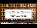 A Virtual Tour of the Mütter Museum