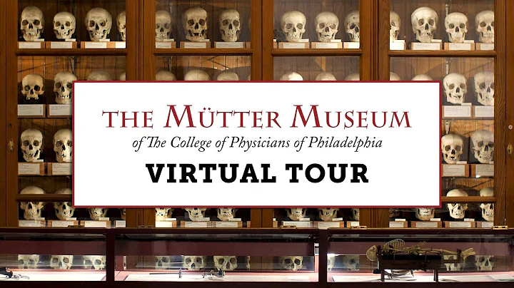 A Virtual Tour of the Mtter Museum