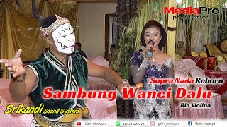 Sambung Wanci Dalu -Ria Violina - Supra Nada Reborn