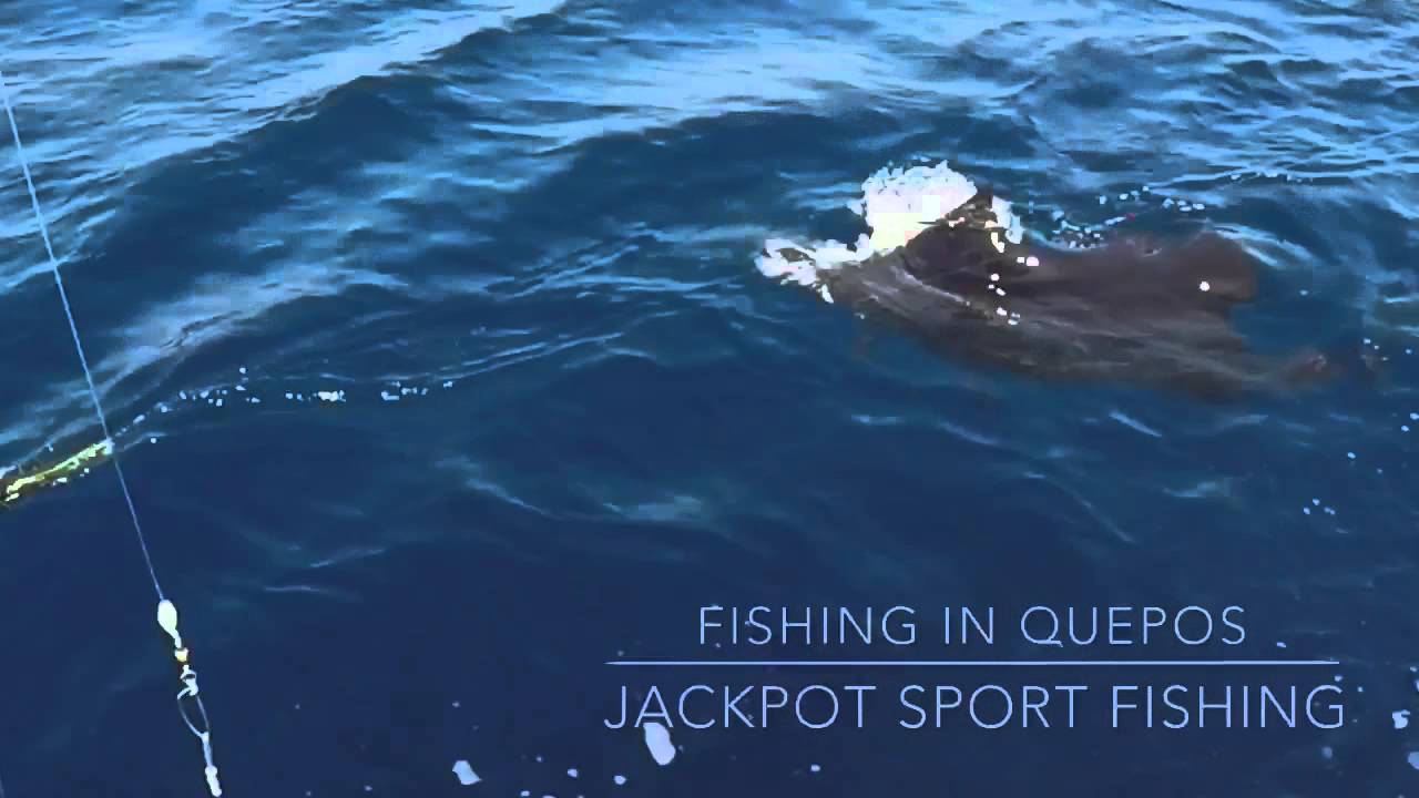 Fishing in Quepos, Costa Rica