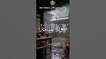 {لَا أُقْسِمُ بِيَوْمِ الْقِيَامَةِ} تلاوة رائعة للقارئ عمرو هلال 🌙 من سورة القيامة #quran #explore