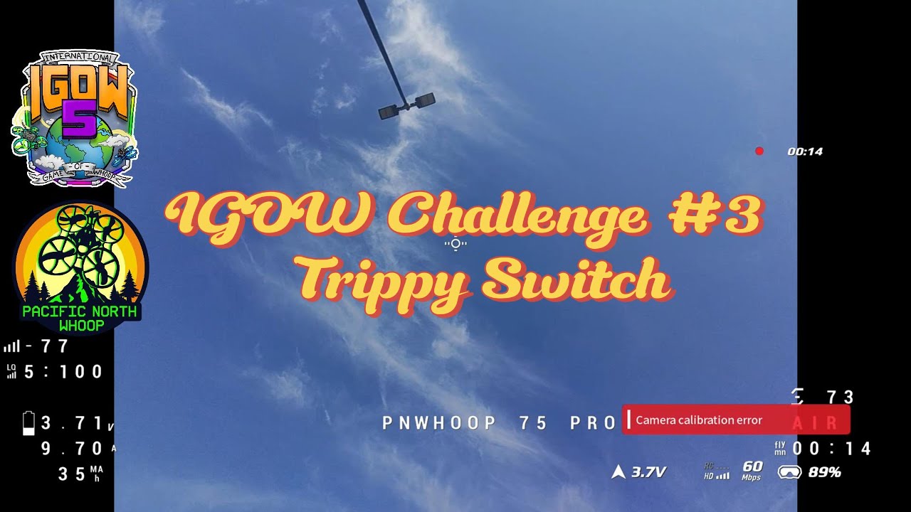 IGOW Challenge #3 Trippy Switch