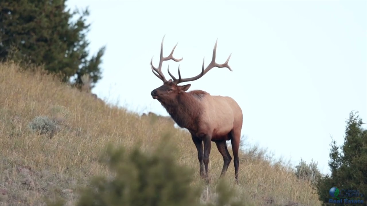 Elk Bluff Estates 280 Ac of Prime Residential Acreage!