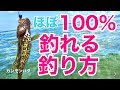 初心者必見！ほぼ100%釣れる釣り方　特にミーバイがめっちゃ釣れます！　沖縄釣り ウェーディング ワールドシャウラ2832 SLSU