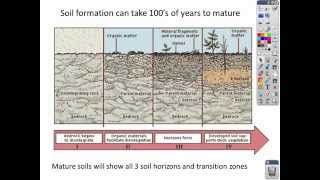 Intro to Soil lecture