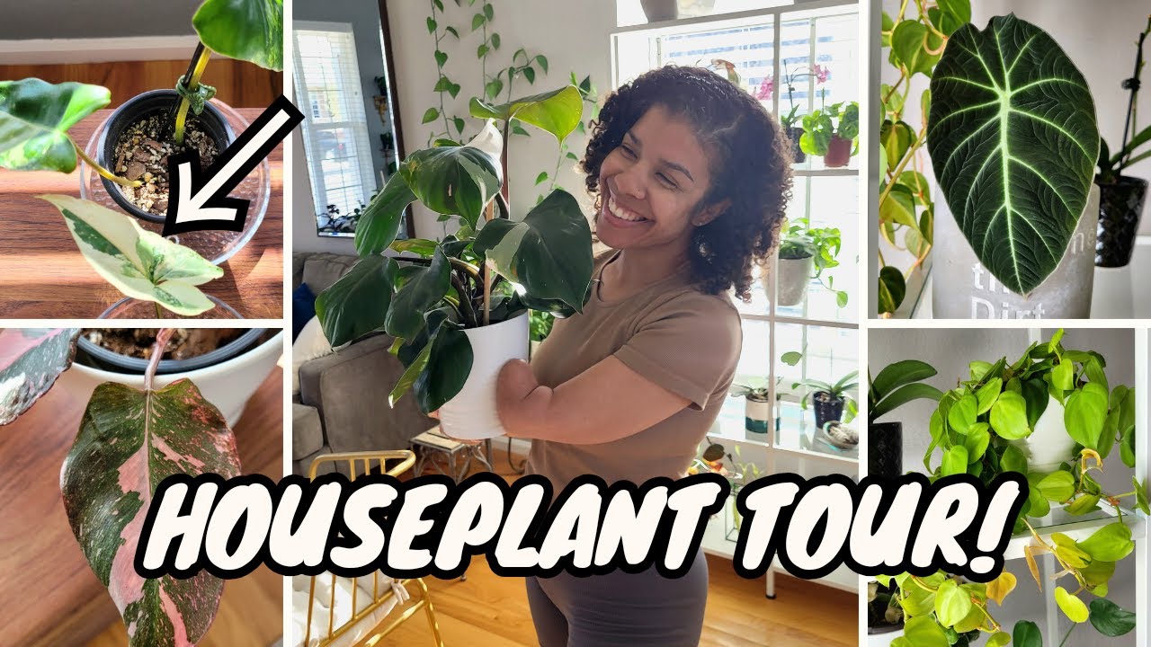 CHILL Indoor Houseplant Tour 😎 | Spring 2024 - YouTube