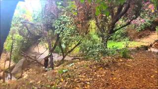 The ecological garden on the Technion campus - Haifa