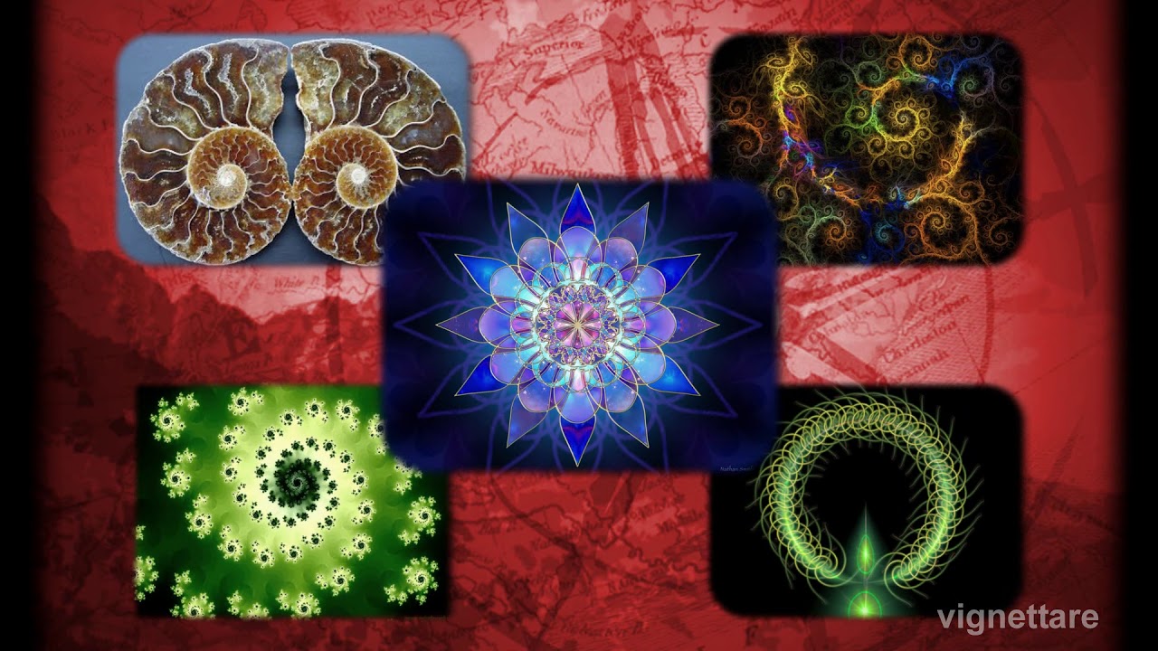 photoshop cs6 LEZIONE 4 - Modificare gli stili