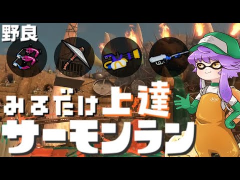 【野良】見るだけ上達サモラン！赤スパリッター高火力どんぴこ闘技場🐋【スプラトゥーン3/サーモンランNW】