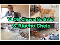 VLOG Olha Como Está o Sítio Quando Chove / VLOG Look how the Homestead is when it rains