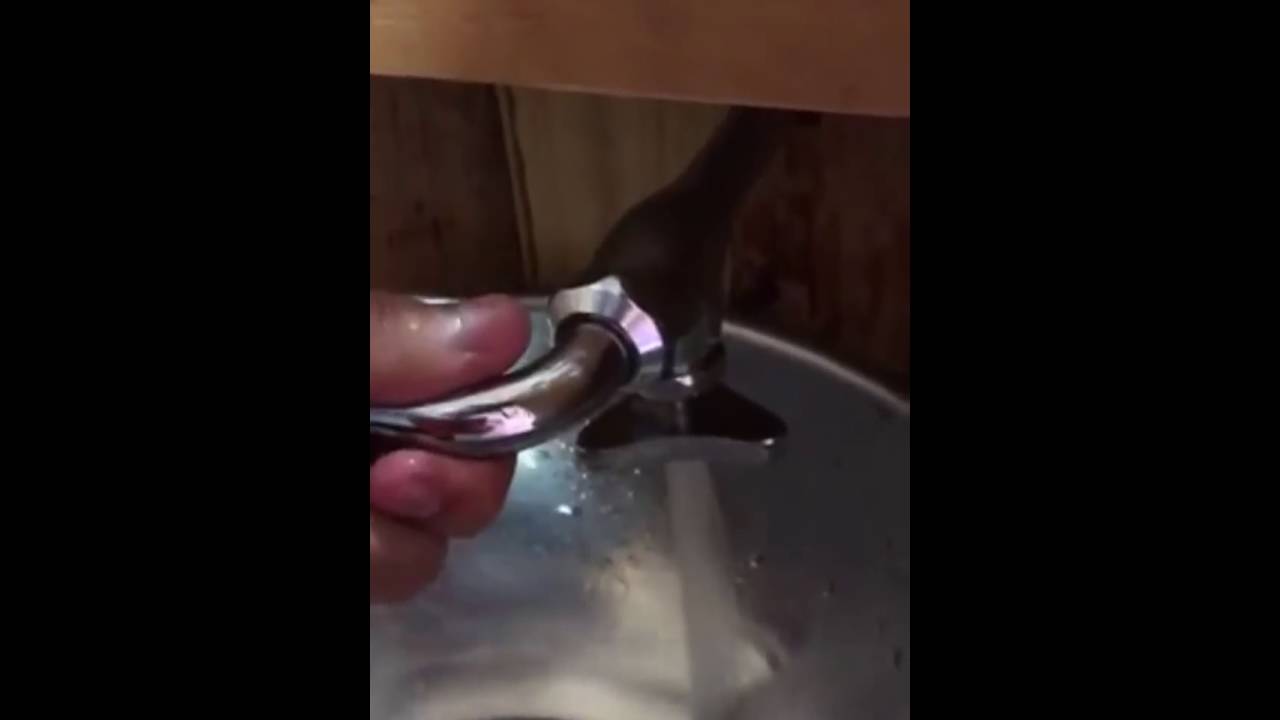 Der etwas andere Wasserhahn