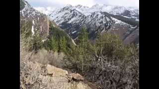 Mill B North Fork - Big Cottonwood Canyon
