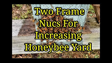 Two Frame Nucs For Increasing Honeybee Yard