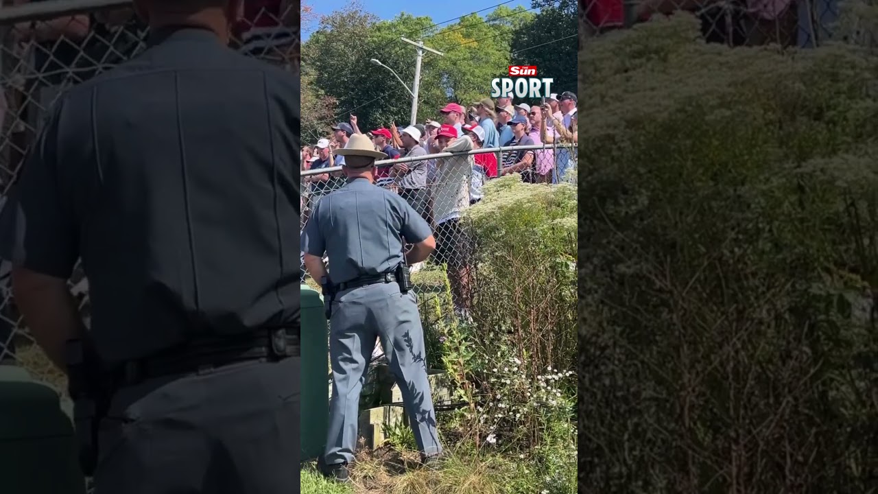 Police intervene as fan attempts to hurl abuse at Rory McIlroy 🚨