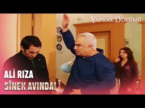 Ali Rıza, Şevket'e Vurmaya Kıyamadı! - Yaprak Dökümü 71. Bölüm