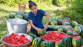 Harvest WATERMELON make juice & goes to the market sell | Ella Daily Life