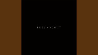 Feel the Night