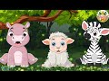 Wild Animal Sounds: Hippo, Zebra, Civet, Beaver, Sel, Frog, Crocodile - Baby Animal Moments