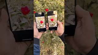 Iphone 15 vs IPhone 14 pro Camera to📷 #shortvideo #youtubeshorts #shorts #vairalvideo