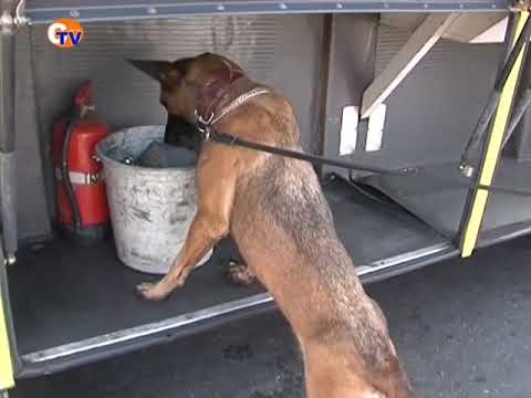 ნარკოტიკების წინააღმდეგ ბრძოლაში ძაღლები ჩაერთნენ ვიდეო