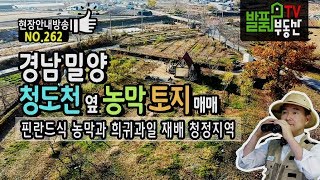 ⁣경남 밀양 토지 과수원 매매 전원주택 신축 가능한 핀란드식 농막과 희귀과일 재배지 밀양부동산 - 발품부동산TV