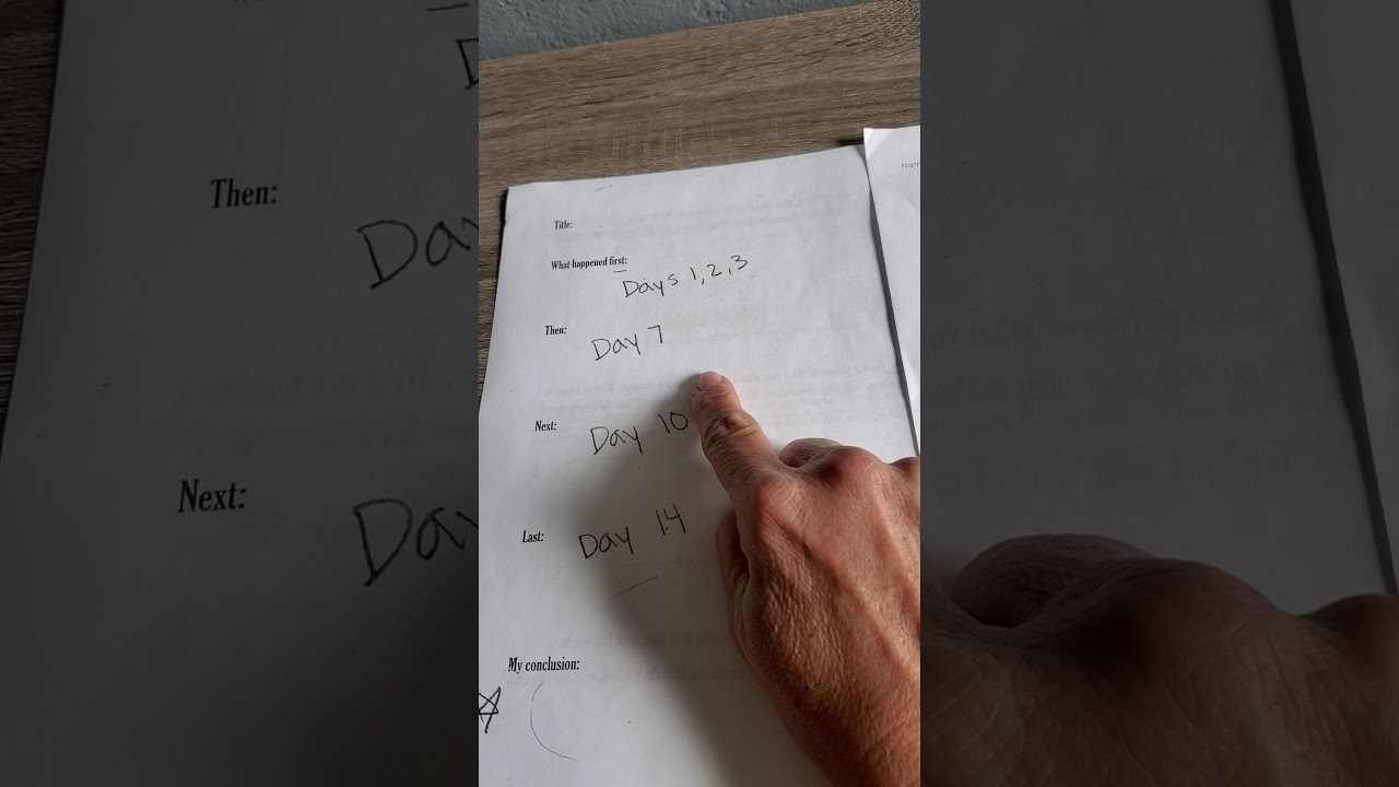 Math Time Fun - YouTube