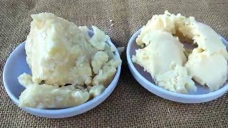 Murumuru vs. Cupuaçu