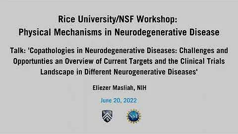 2022 Neurodegenerativ...  Disease Wkshp | Talk: El...