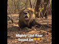 Powerful and Mighty Lion Roar