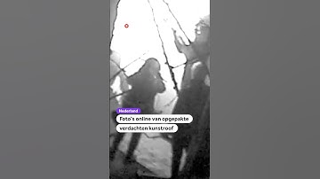 Foto’s online van opgepakte verdachten kunstroof