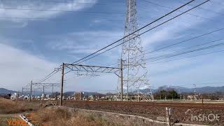 JR貨物　東海道本線　5780レ　EF64-1008 号機　2020.03.01